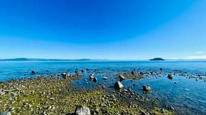 IRONMAN 70.3 Taupo