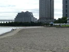 日本トライアスロン選手権 2025年
