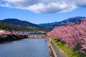 河津花トライアスロン 2023年