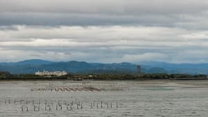 浜名湖トライアスロン 2022年