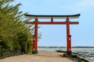 日本エイジグループSD/SPトライアスロン選手権 2023年