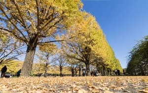 昭和記念公園トライアスロン 2018年