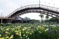 水郷いたこトライアスロン 2021年