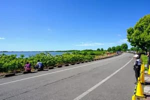 東京都トライアスロン渡良瀬大会 2016年