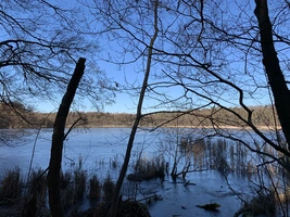 IRONMAN 70.3 Erkner Berlin-Brandenburg