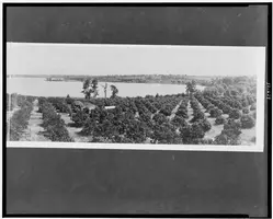 IRONMAN 70.3 Florida