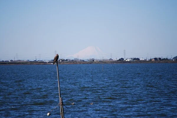 霞ヶ浦トライアスロンフェスタ