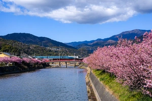 河津花トライアスロン