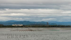浜名湖トライアスロン